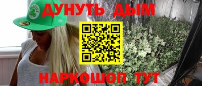 крисы Дубна