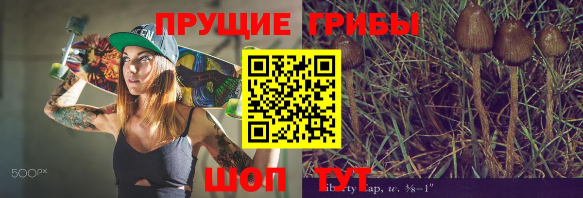 Мичуринск  Псилоцибиновые грибы мицелий  Вход с VPN 
