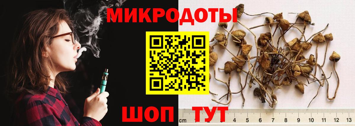 Псилоцибиновые грибы Psilocybe Мичуринск